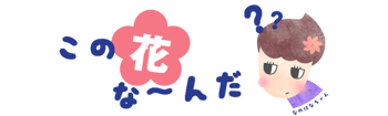 花の名前を教えてくれるAIサービス(無料)「AISIA FlowerName」